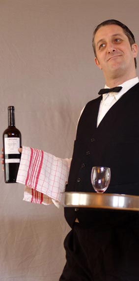 Der Kellner Bruno bedient Sie w&auml;hrend dem APERO als ganz gew&ouml;hnlicher Service-Angestellter, doch im Laufe des Anlasses erweist sie sich als nicht ganz echt.